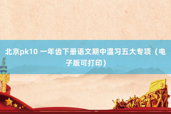 北京pk10 一年齿下册语文期中温习五大专项（电子版可打印）