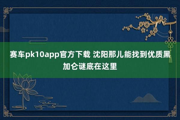 赛车pk10app官方下载 沈阳那儿能找到优质黑加仑谜底在这里