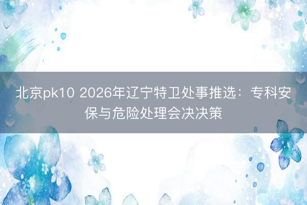 北京pk10 2026年辽宁特卫处事推选：专科安保与危险处理会决决策