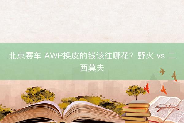 北京赛车 AWP换皮的钱该往哪花？野火 vs 二西莫夫