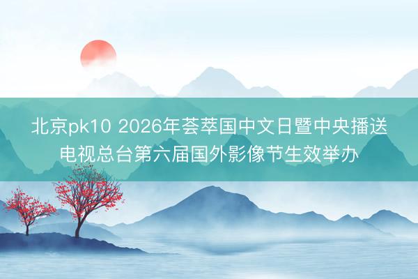 北京pk10 2026年荟萃国中文日暨中央播送电视总台第六届国外影像节生效举办